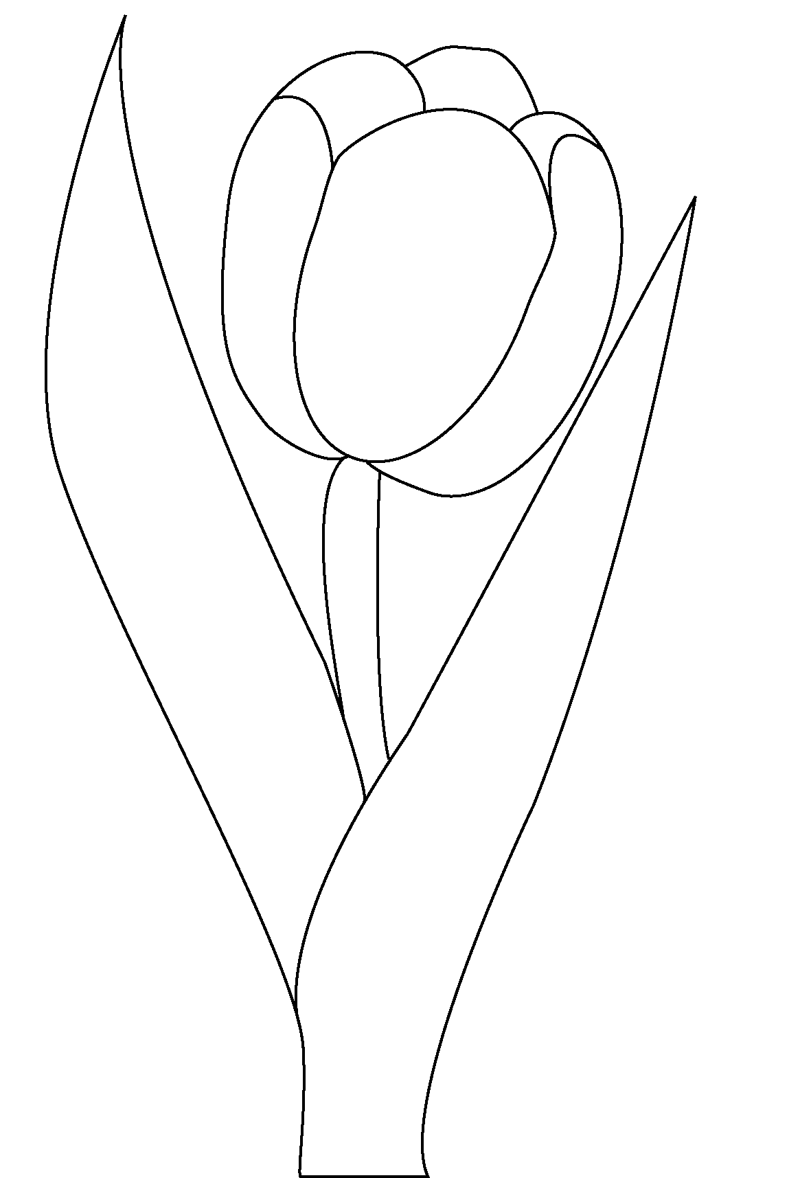 Free Printable Coloring Pages Tulips