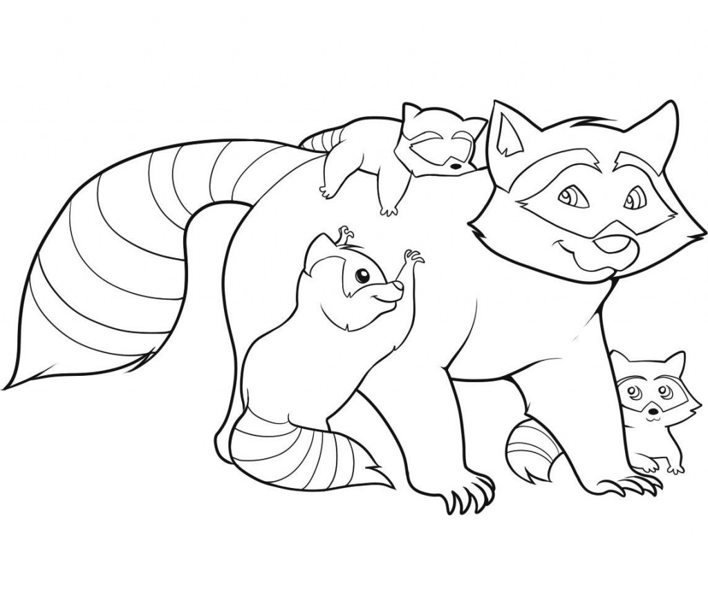 raccoon coloring pages to print out - photo #4