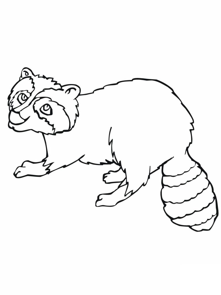 realistic raccoon coloring pages - photo #16