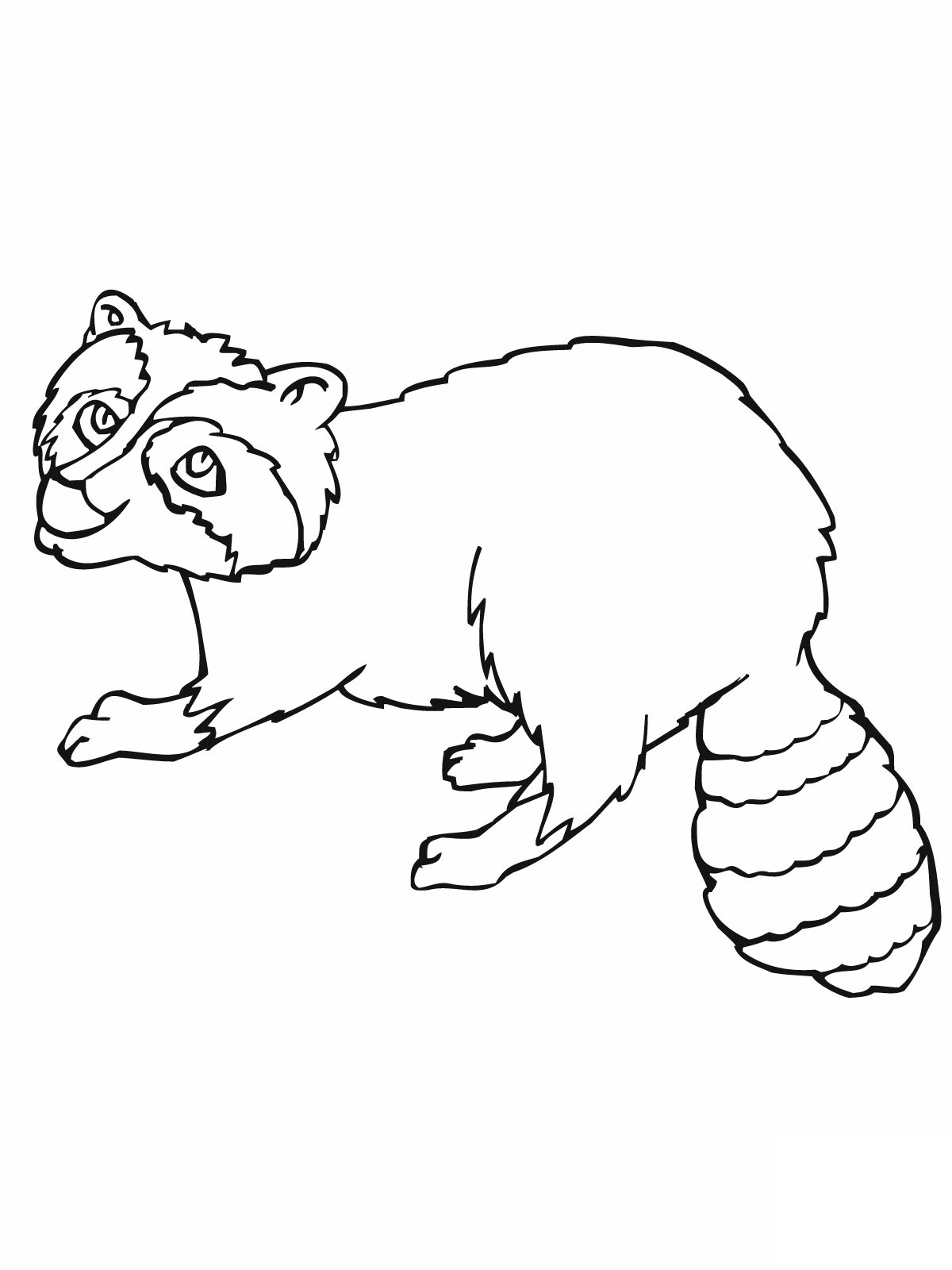 raccoon coloring pages to print out - photo #11
