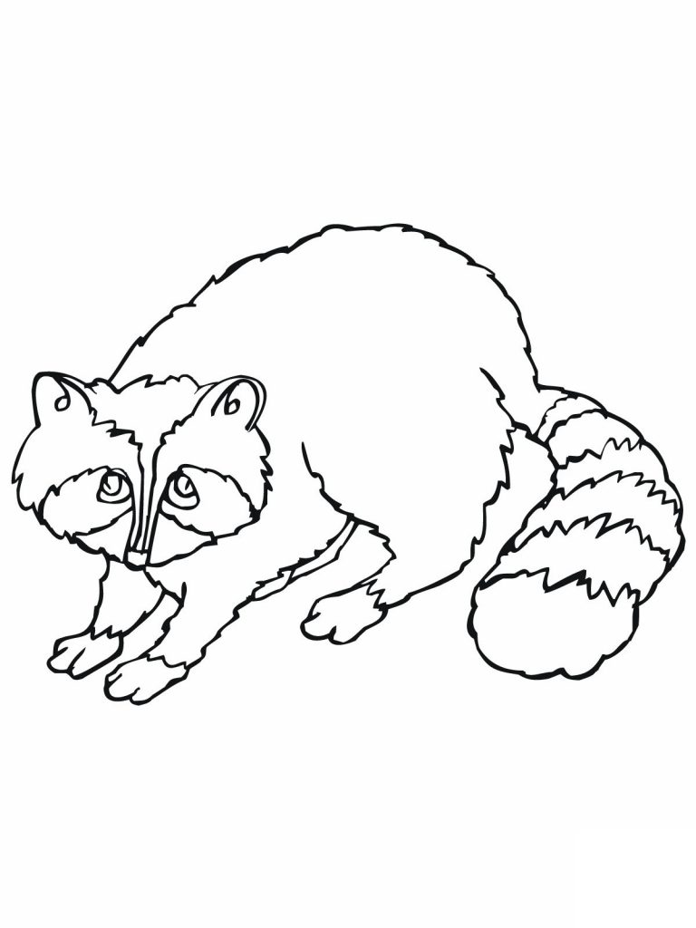 raccoon coloring pages to print out - photo #6