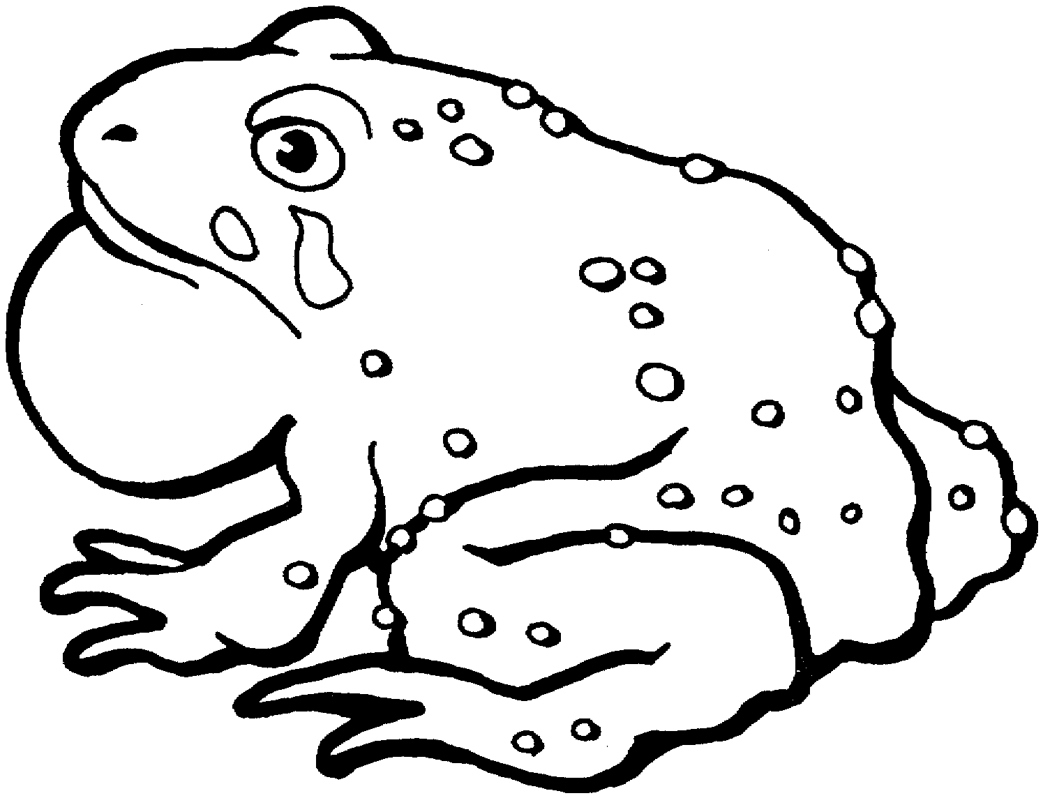 Free Printable Toad Coloring Pages For Kids