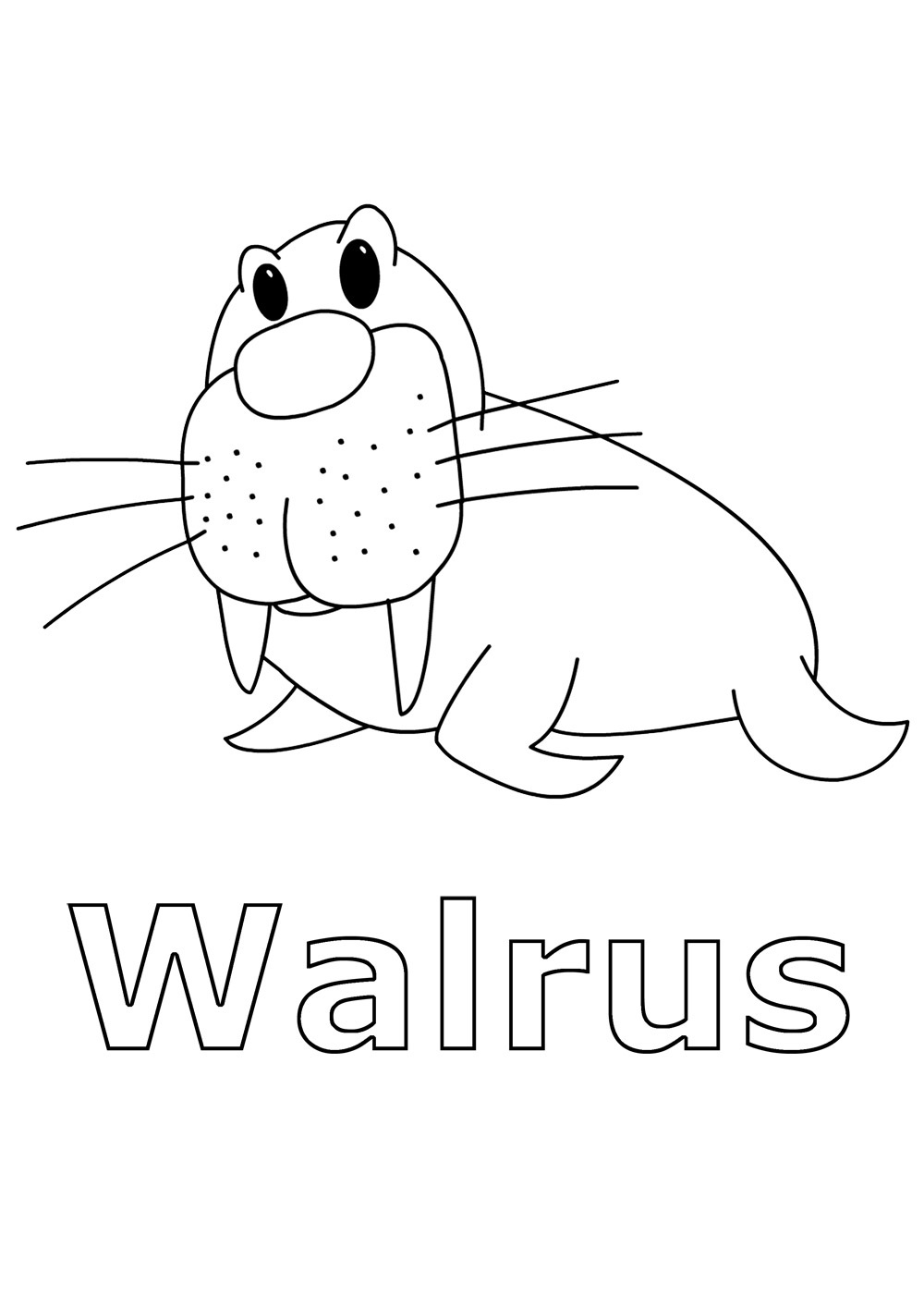 walrlus coloring pages - photo #43