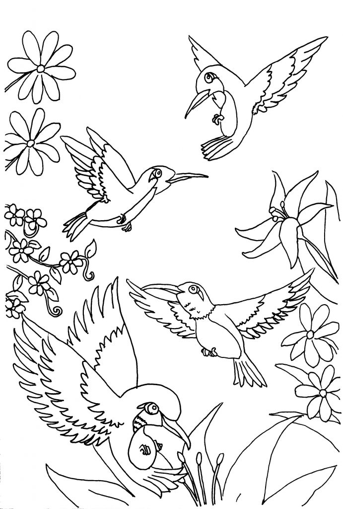 coloring hummingbird printable drawing adult hummingbirds bird flower butterfly books template sheets drawings animals bestcoloringpagesforkids animal getdrawings children draw stencils