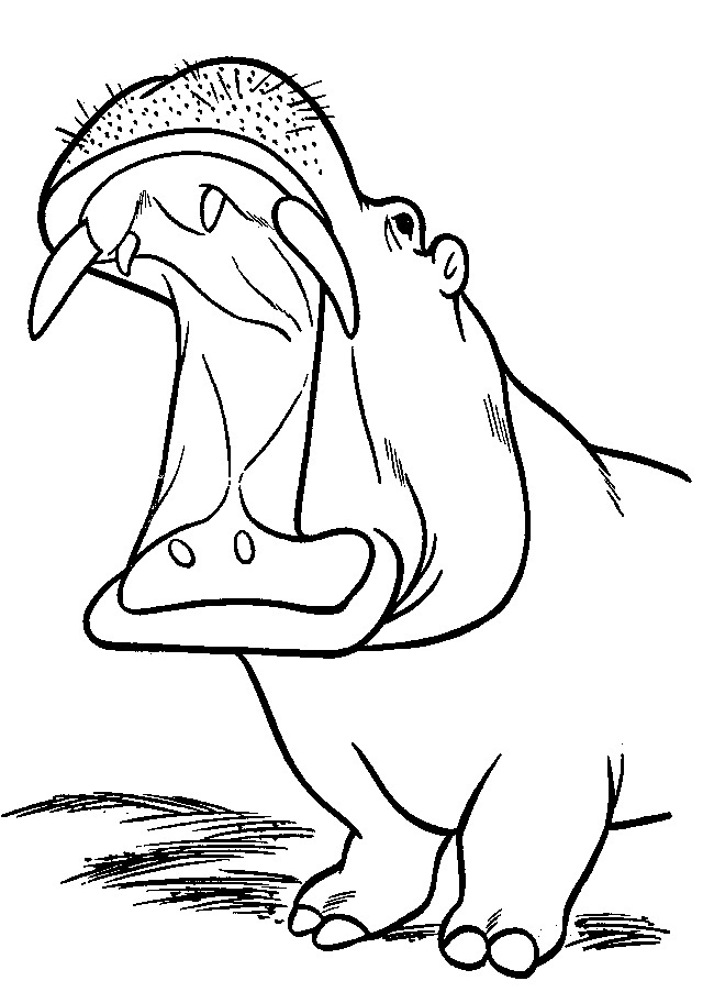 Free Printable Hippo Coloring Pages For Kids Free Printable Hippo Coloring Pages For Kids