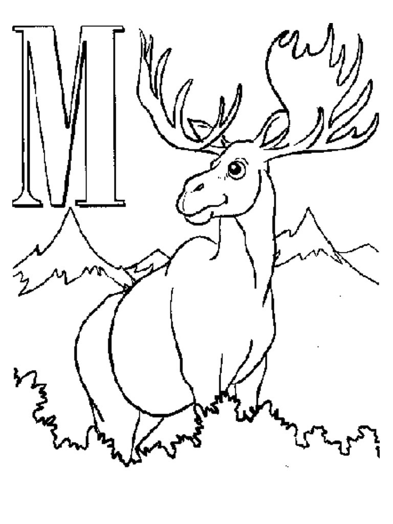 Free Printable Moose Coloring Pages For Kids