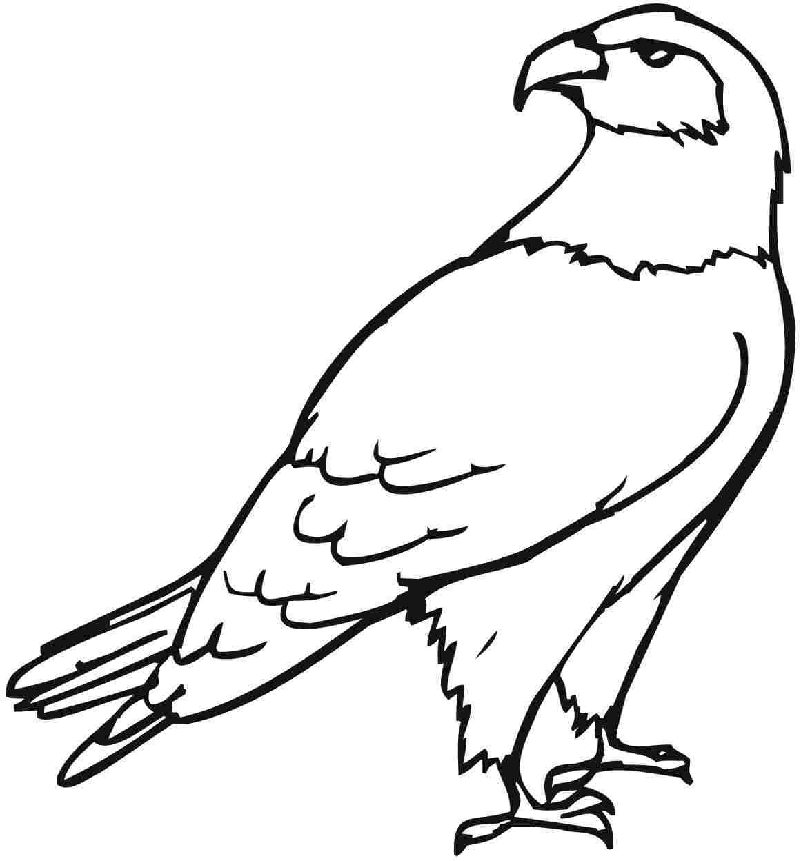 eagle coloring pages for kids - photo #1