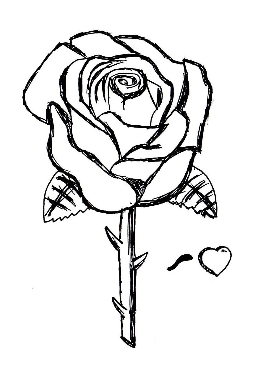 image of rose for coloring pages - photo #24