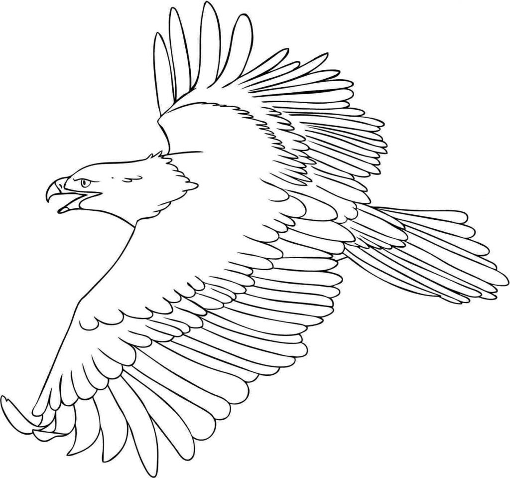 eagle coloring pages for kids - photo #8