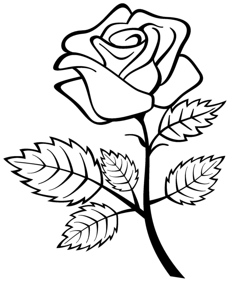 a rose coloring pages - photo #15