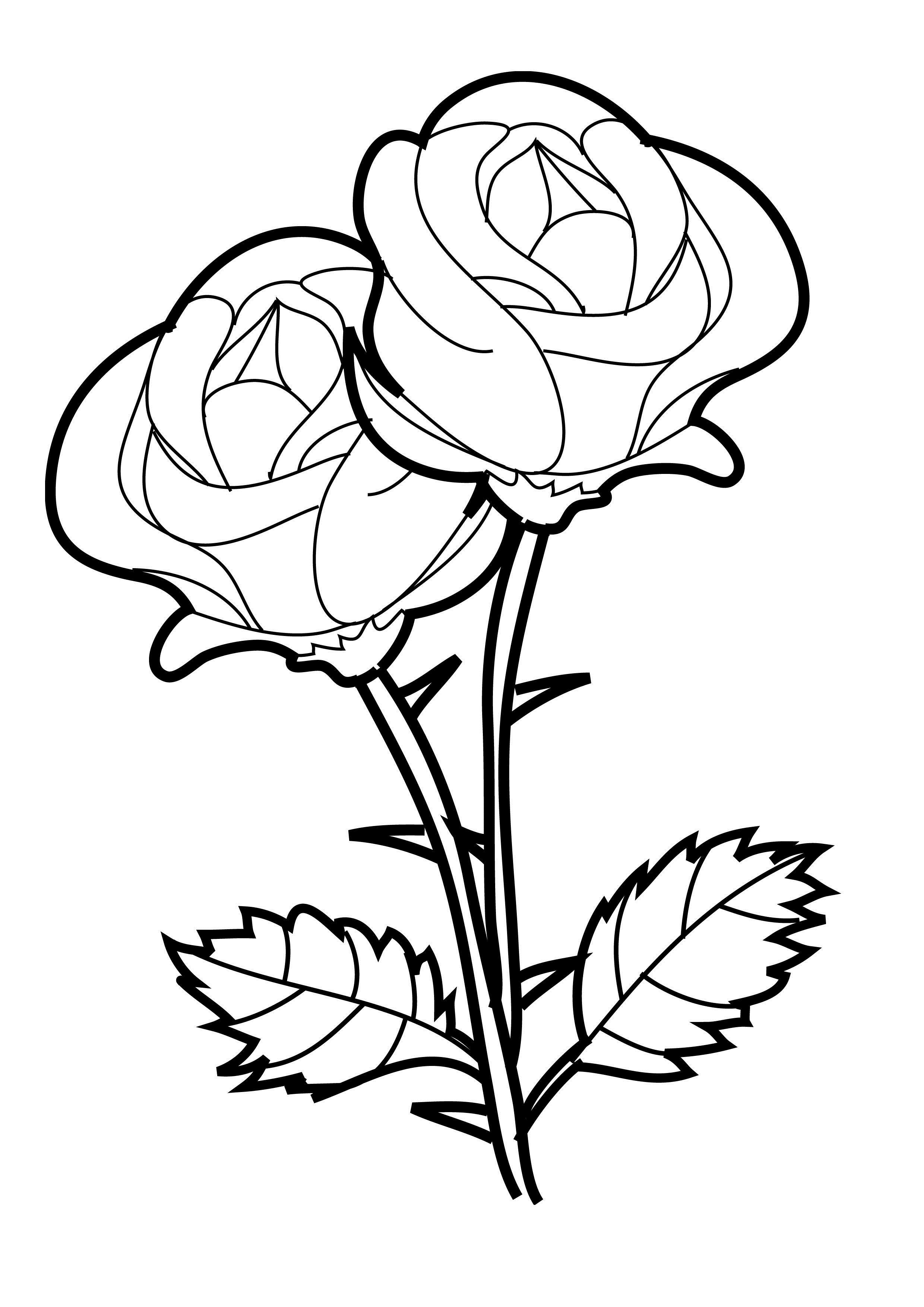 roses-colouring-pages