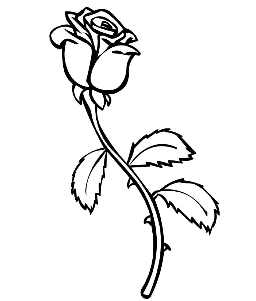 a rose coloring pages - photo #5