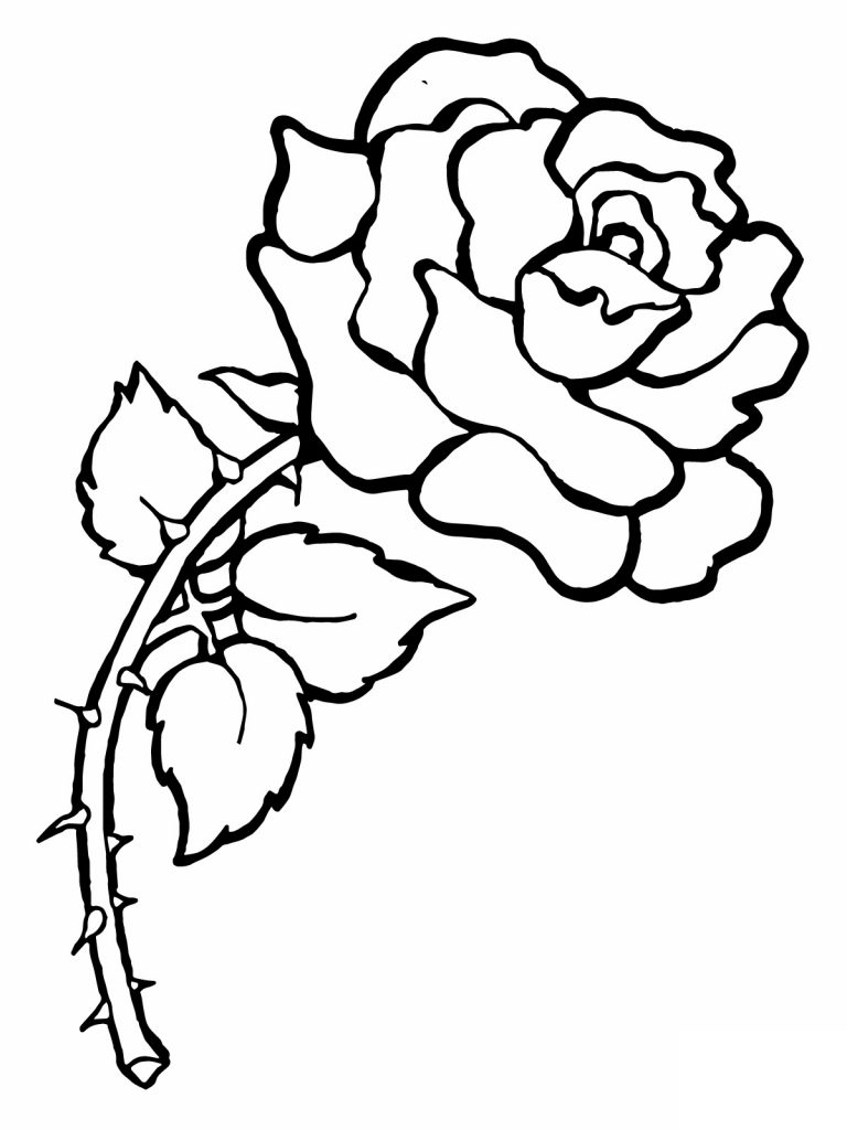 image of rose for coloring pages - photo #5