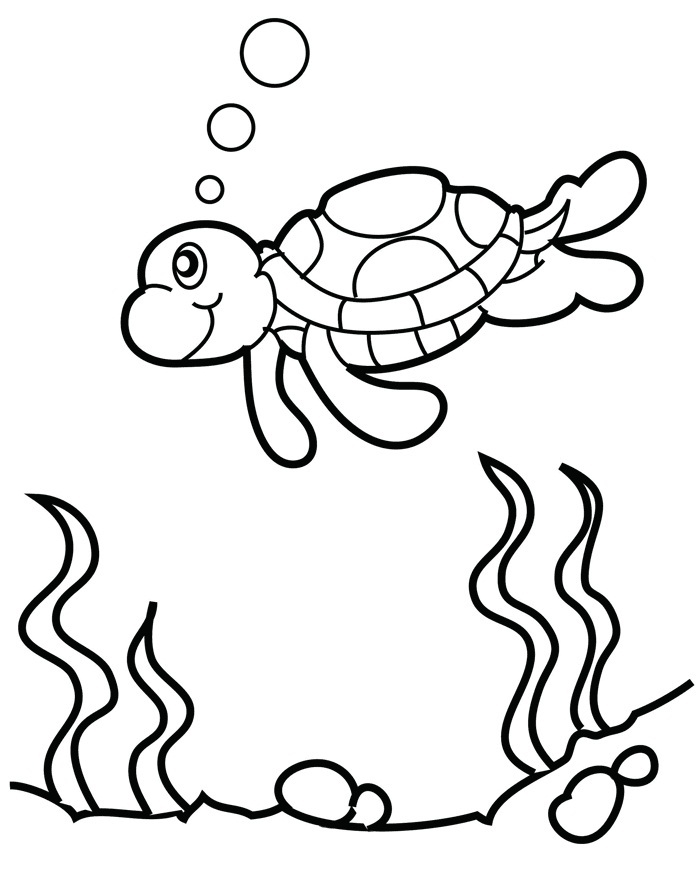 Sea Turtle Printable Coloring Pages