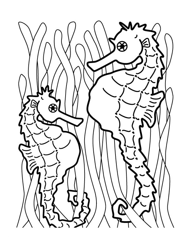 Free Printable Seahorse Coloring Pages For Kids