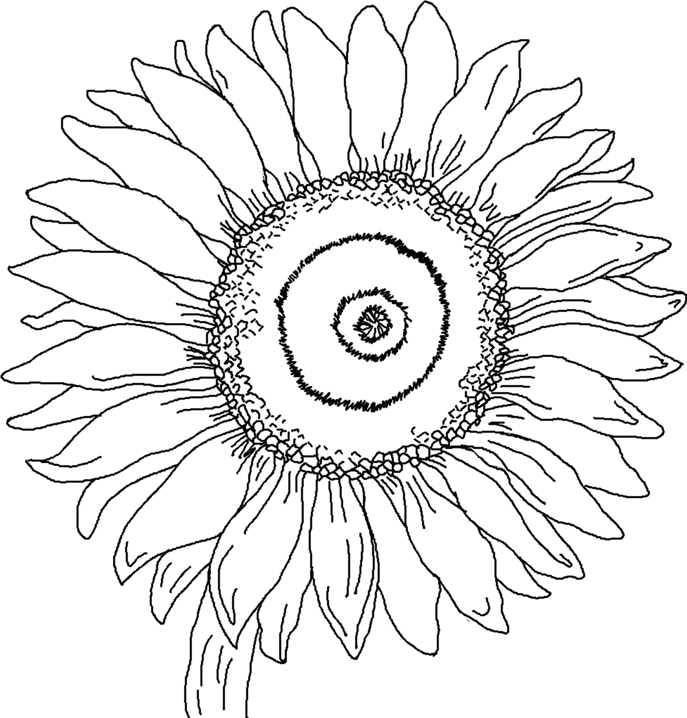 printables coloring pages toddlers - photo #25