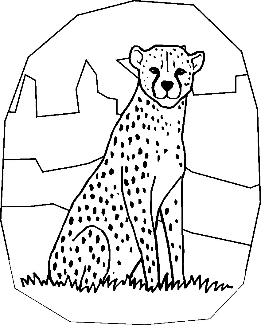 Free Printable Cheetah Coloring Pages For Kids