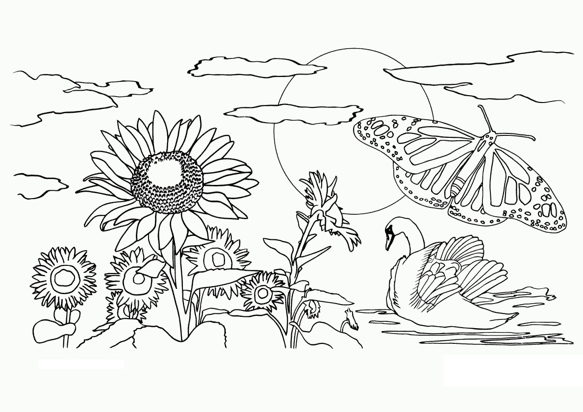 Free Printable Nature Coloring Pages For Kids Best Coloring Pages For 