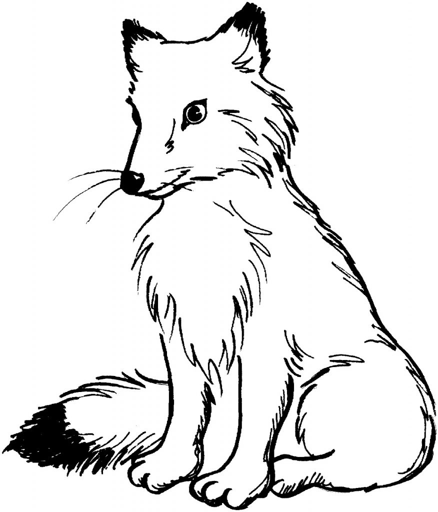 free-printable-fox-coloring-pages-free-printable-templates