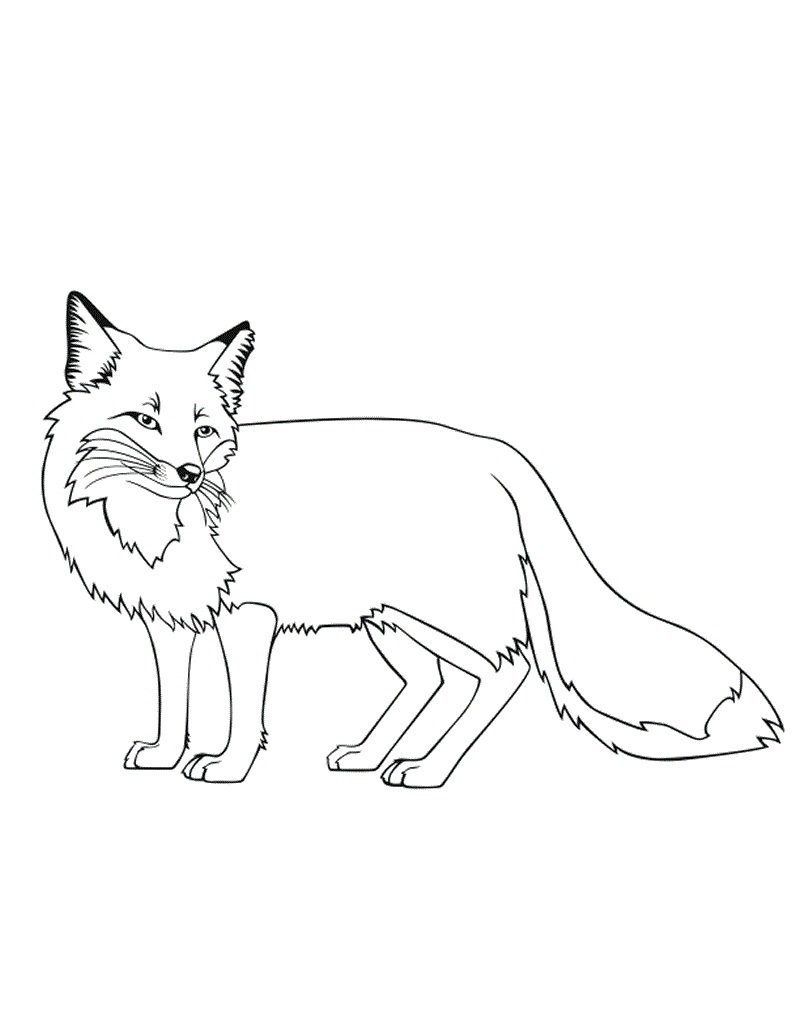 30-brand-new-fantastic-fox-coloring-pages