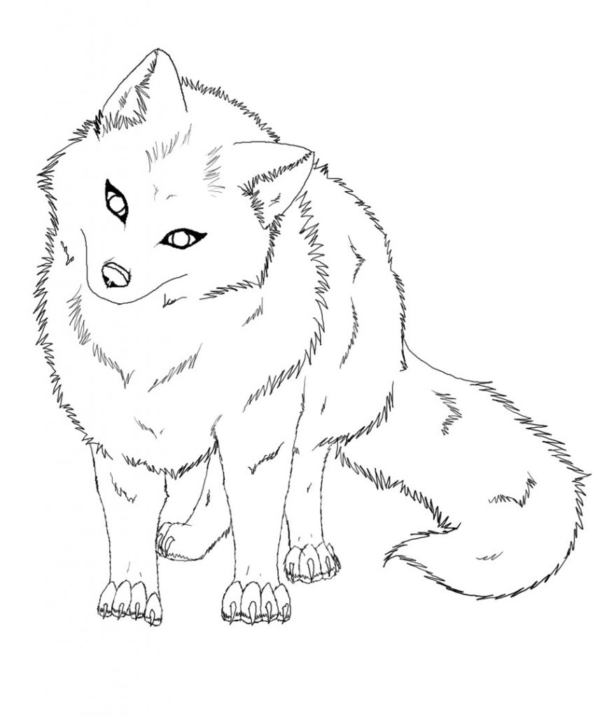 baby arctic fox coloring pages - photo #3