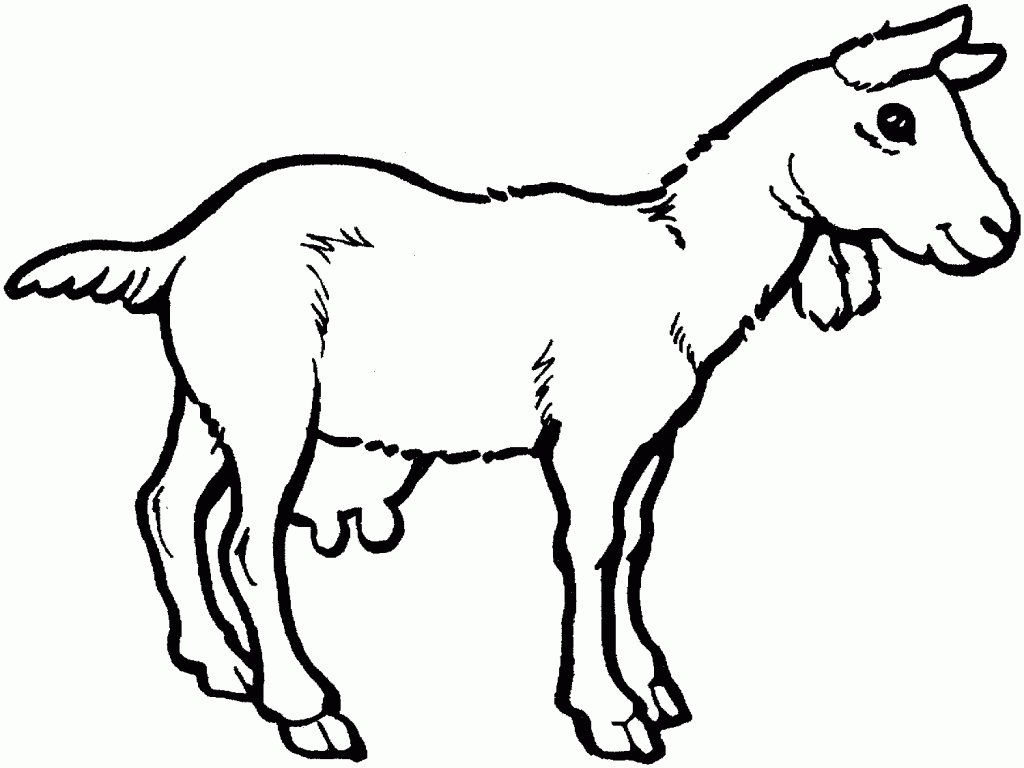 g for goat coloring pages - photo #29