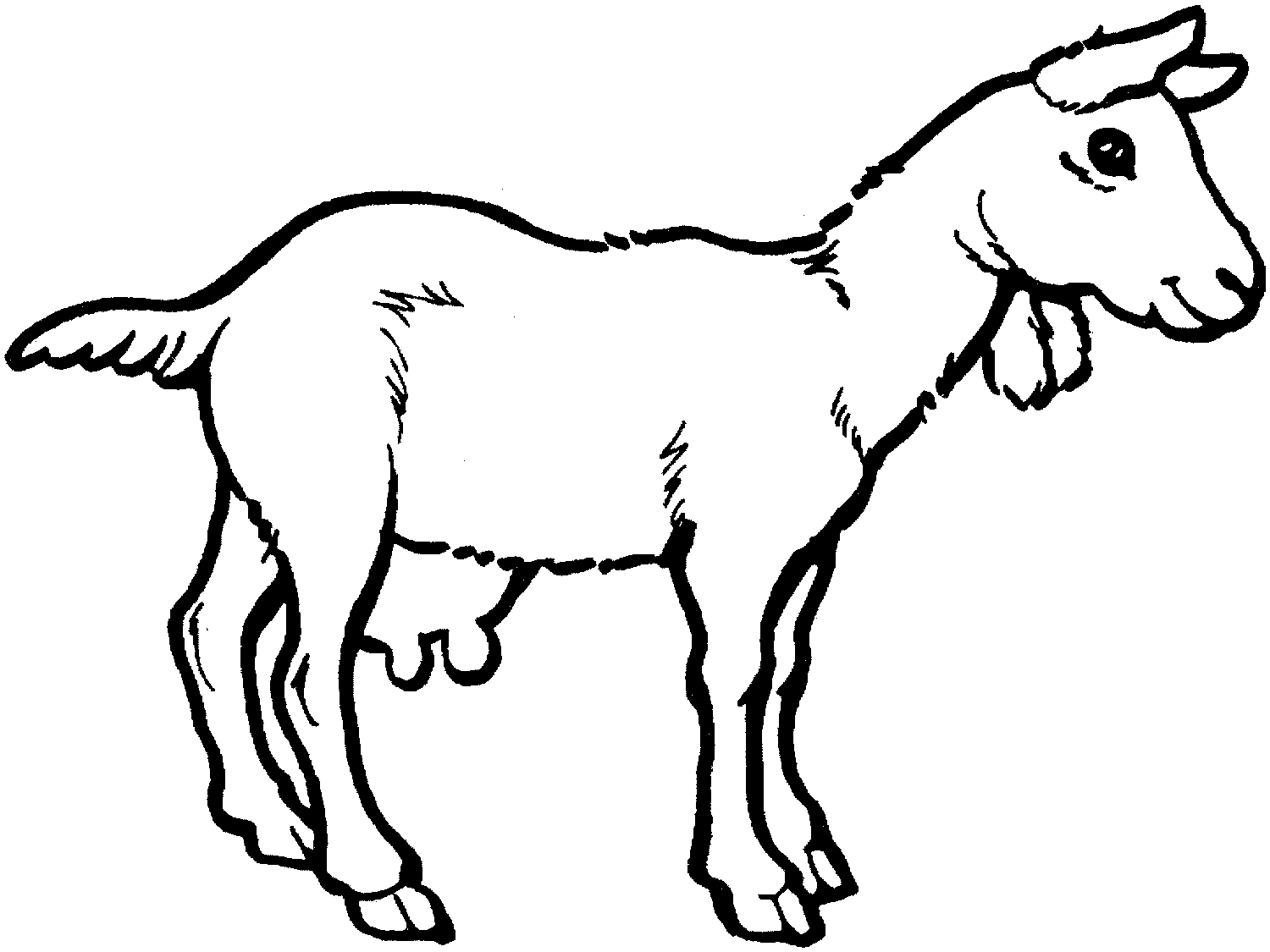 Goat Coloring Pages Kidsuki