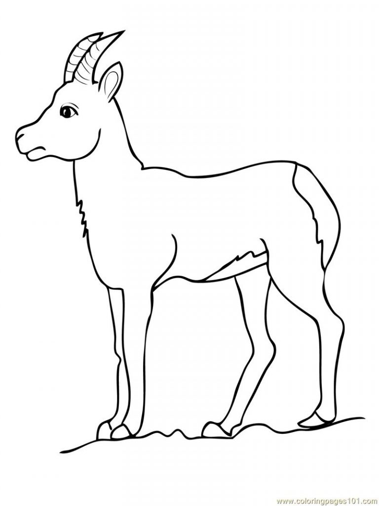 Free Printable Goat Coloring Pages For Kids