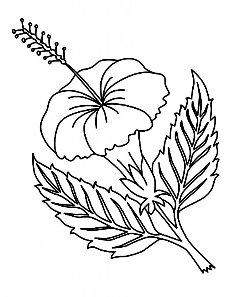 yellow hibiscus coloring pages - photo #27