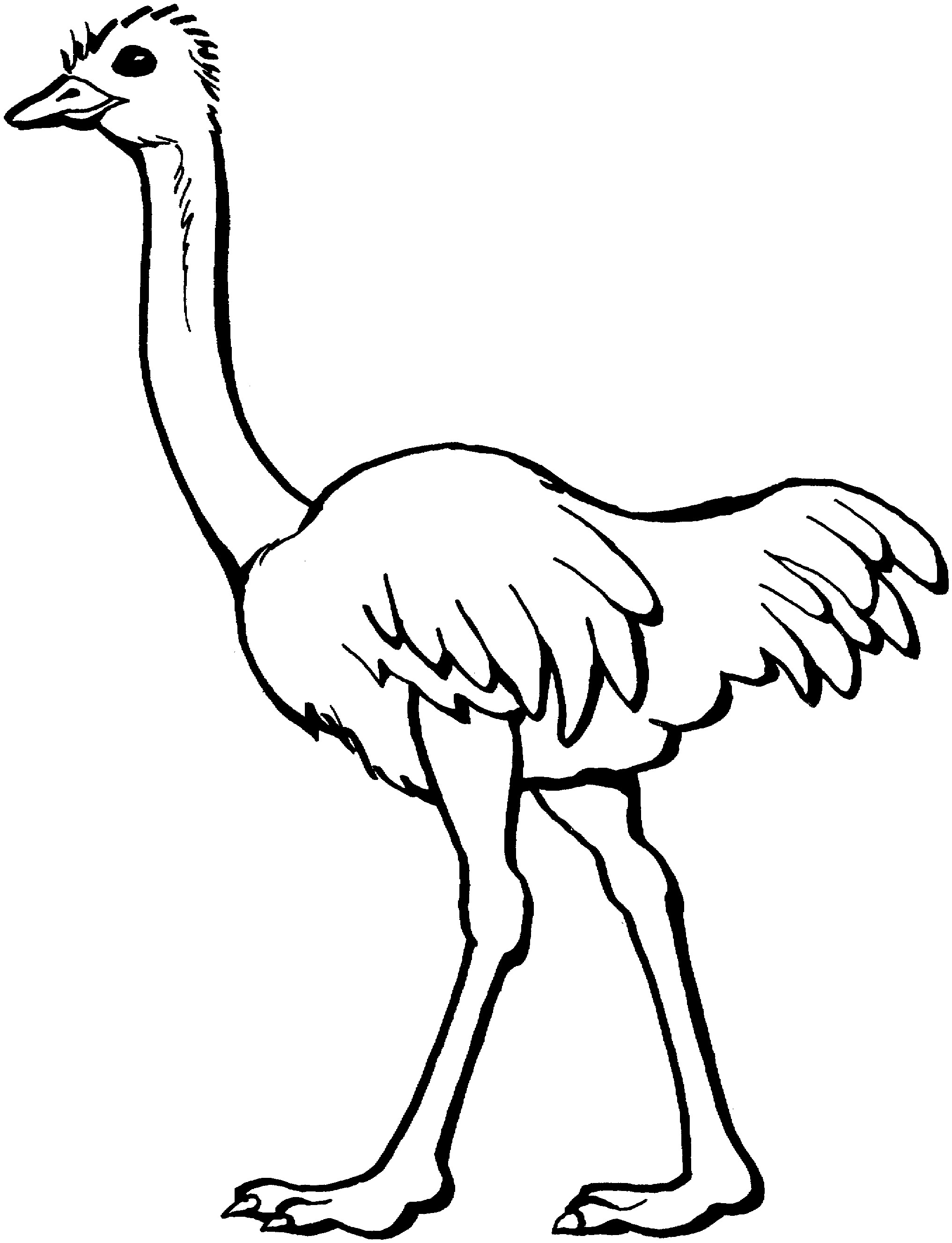 free-printable-ostrich-coloring-pages-for-kids