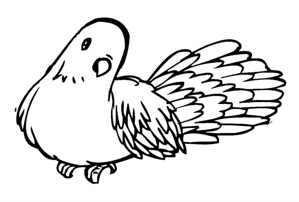 free-printable-pigeon-coloring-pages-for-kids