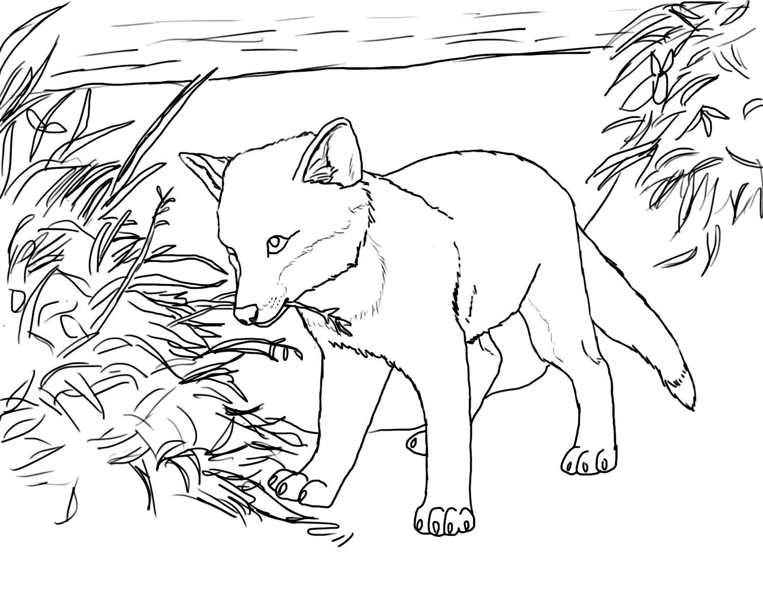 baby fox coloring pages to print - photo #7