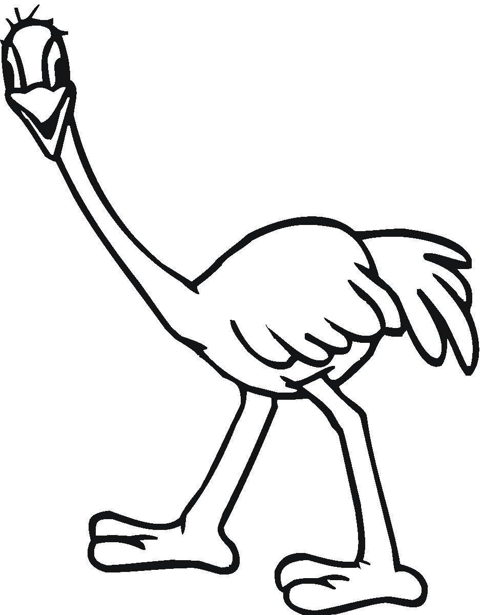 free-printable-ostrich-coloring-pages-for-kids