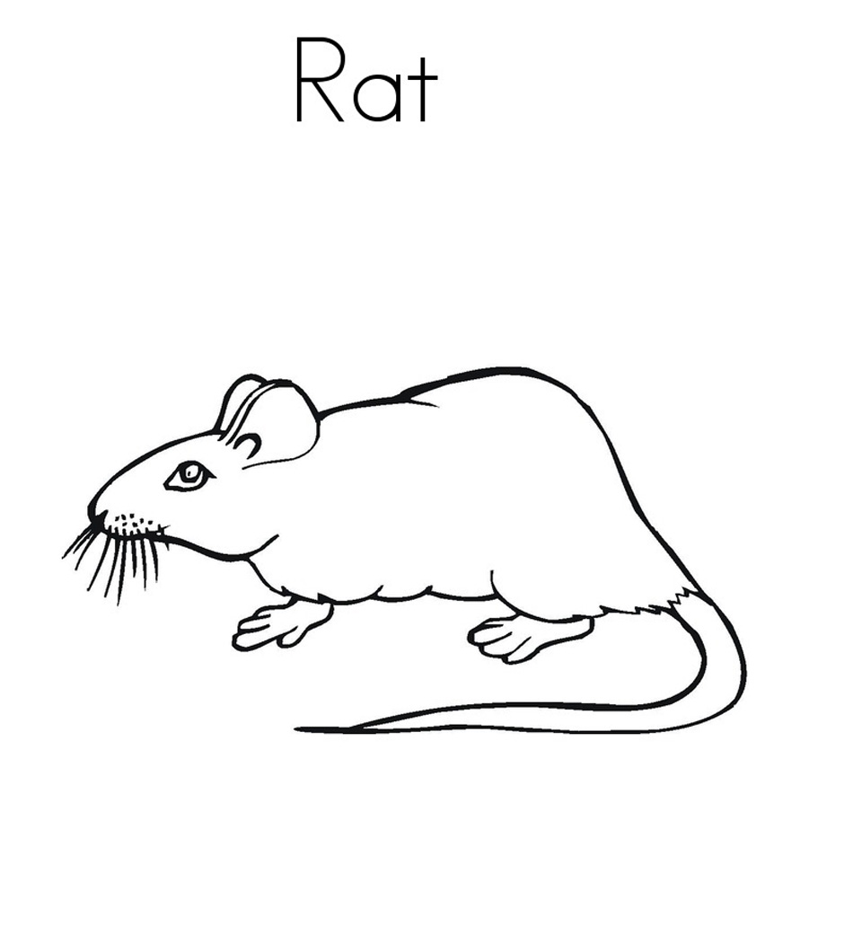 free-printable-rat-coloring-pages-for-kids