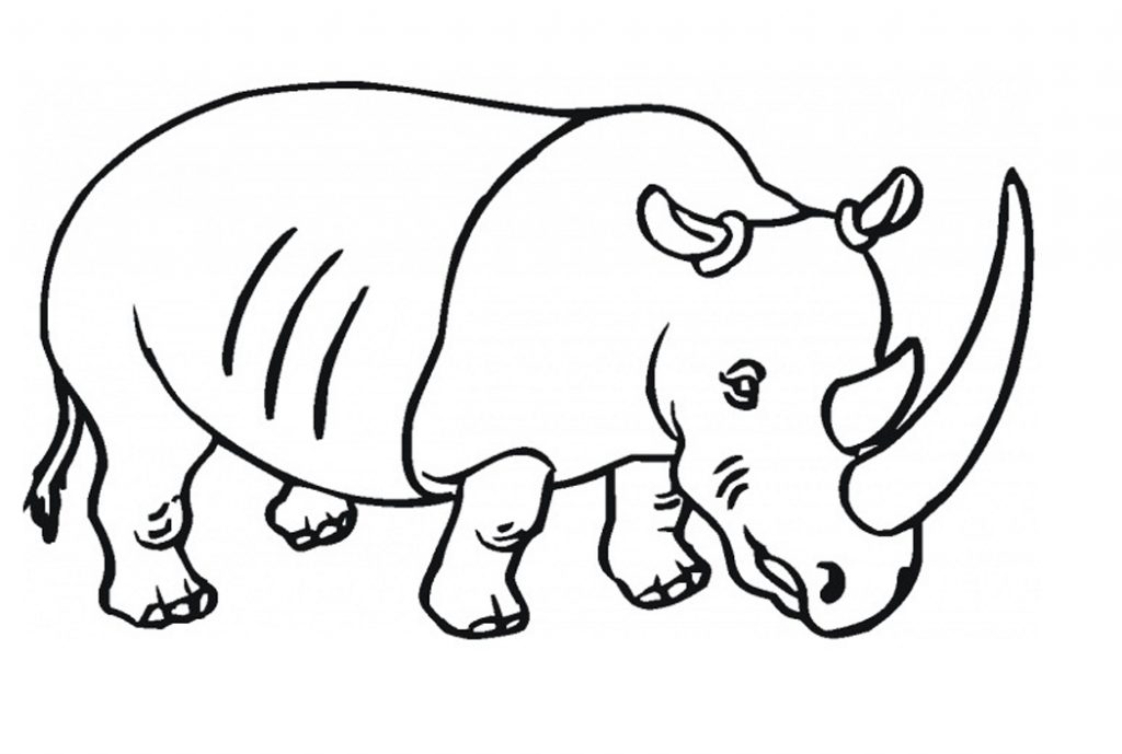 Free Printable Rhinoceros Coloring Pages For Kids