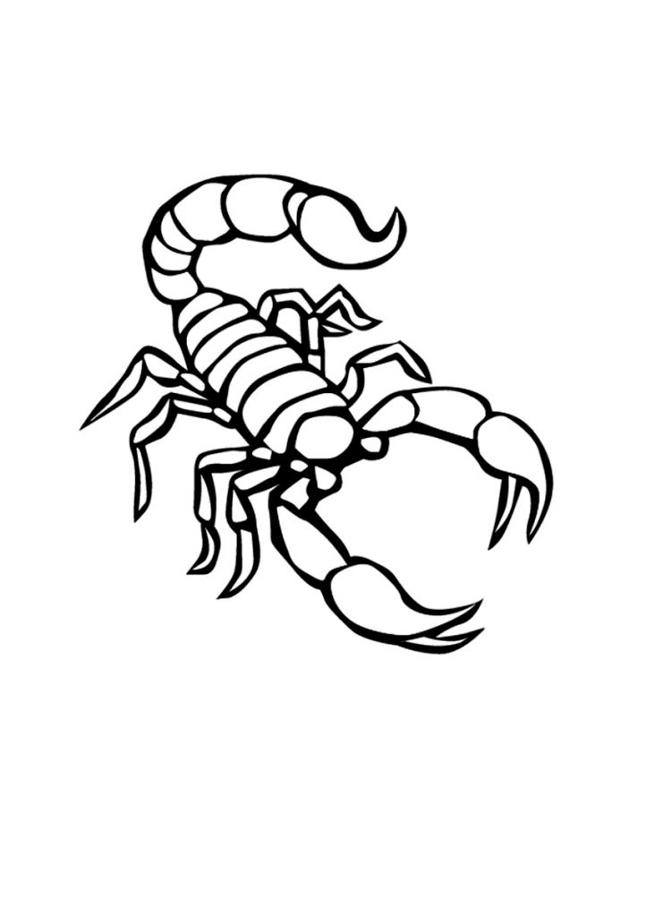 coloring scorpion printable