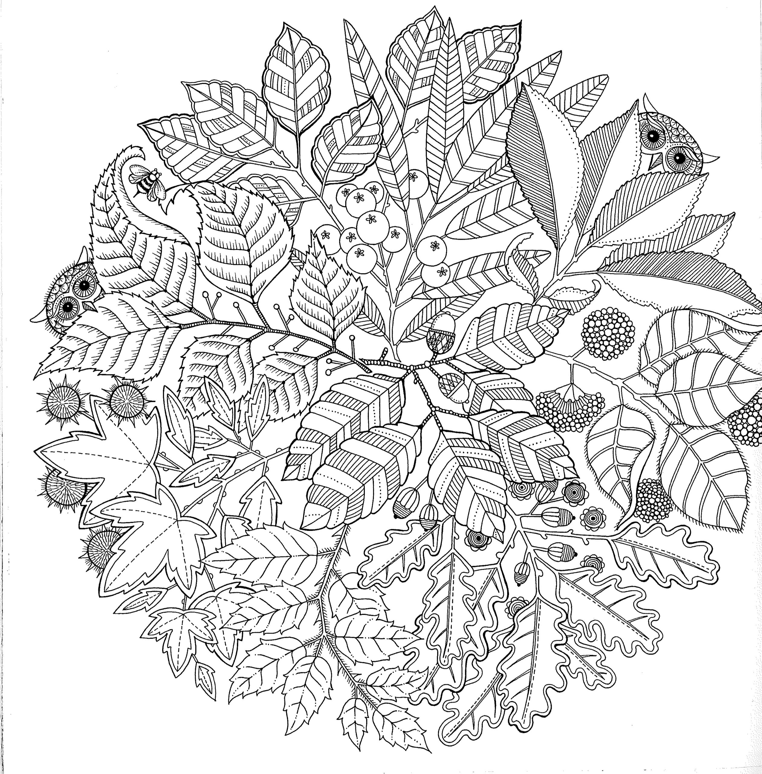 abstract coloring pages for adults - photo #26