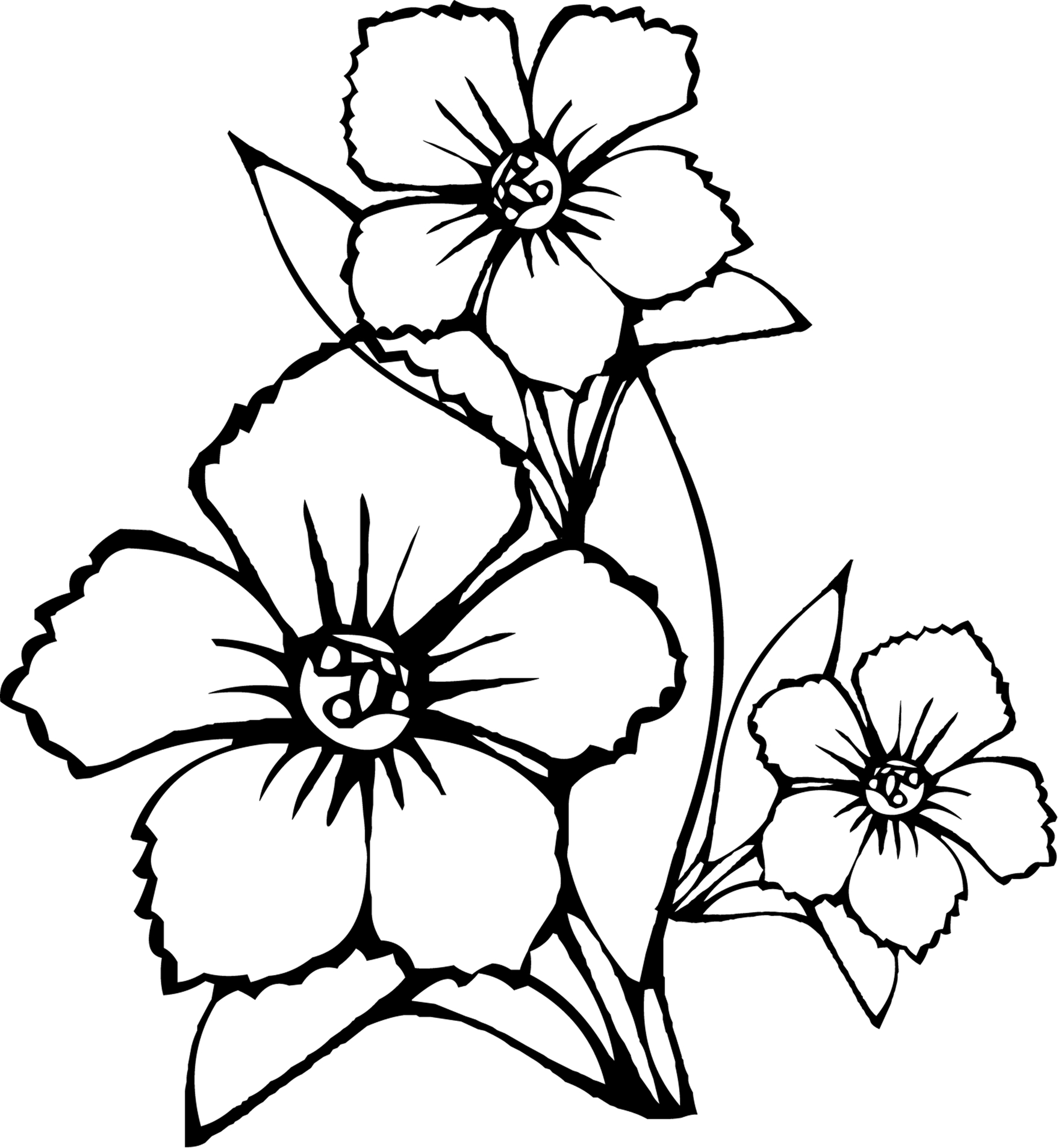 images of coloring pages of flowers - photo #1