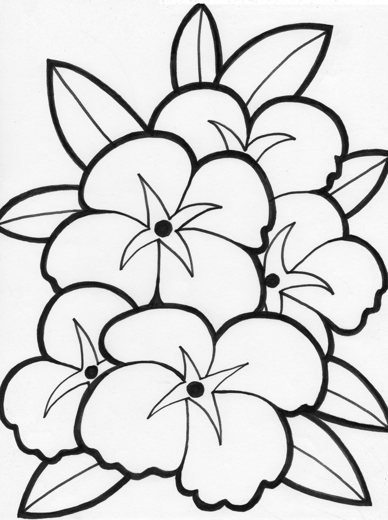 images of spring flowers coloring pages - photo #33