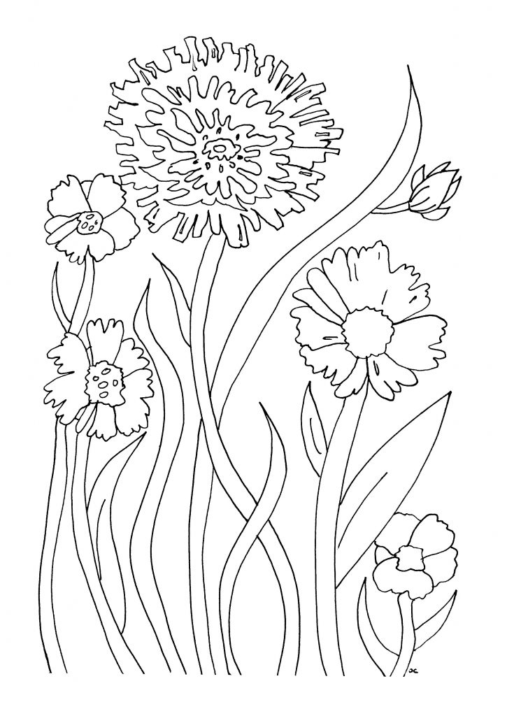 Free Printable Flower Coloring Pages For Kids - Best ...