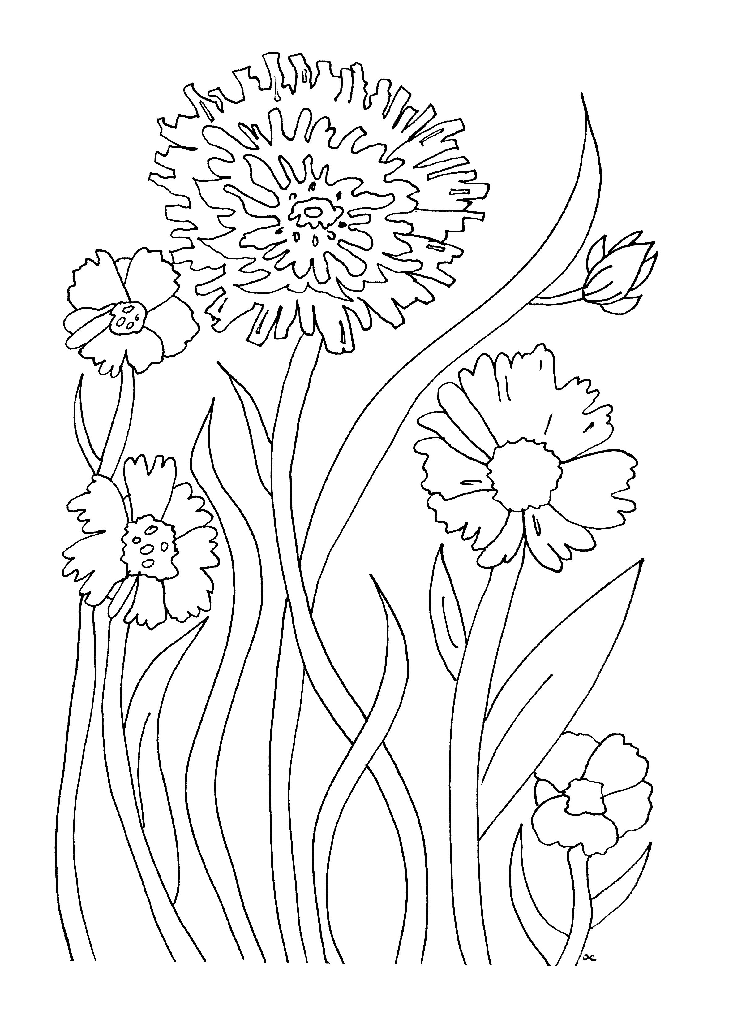 Free Printable Flower Coloring Pages For Kids Best Coloring Pages For 