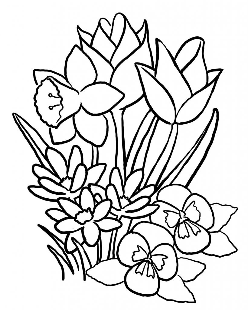 images of coloring pages of flowers - photo #2