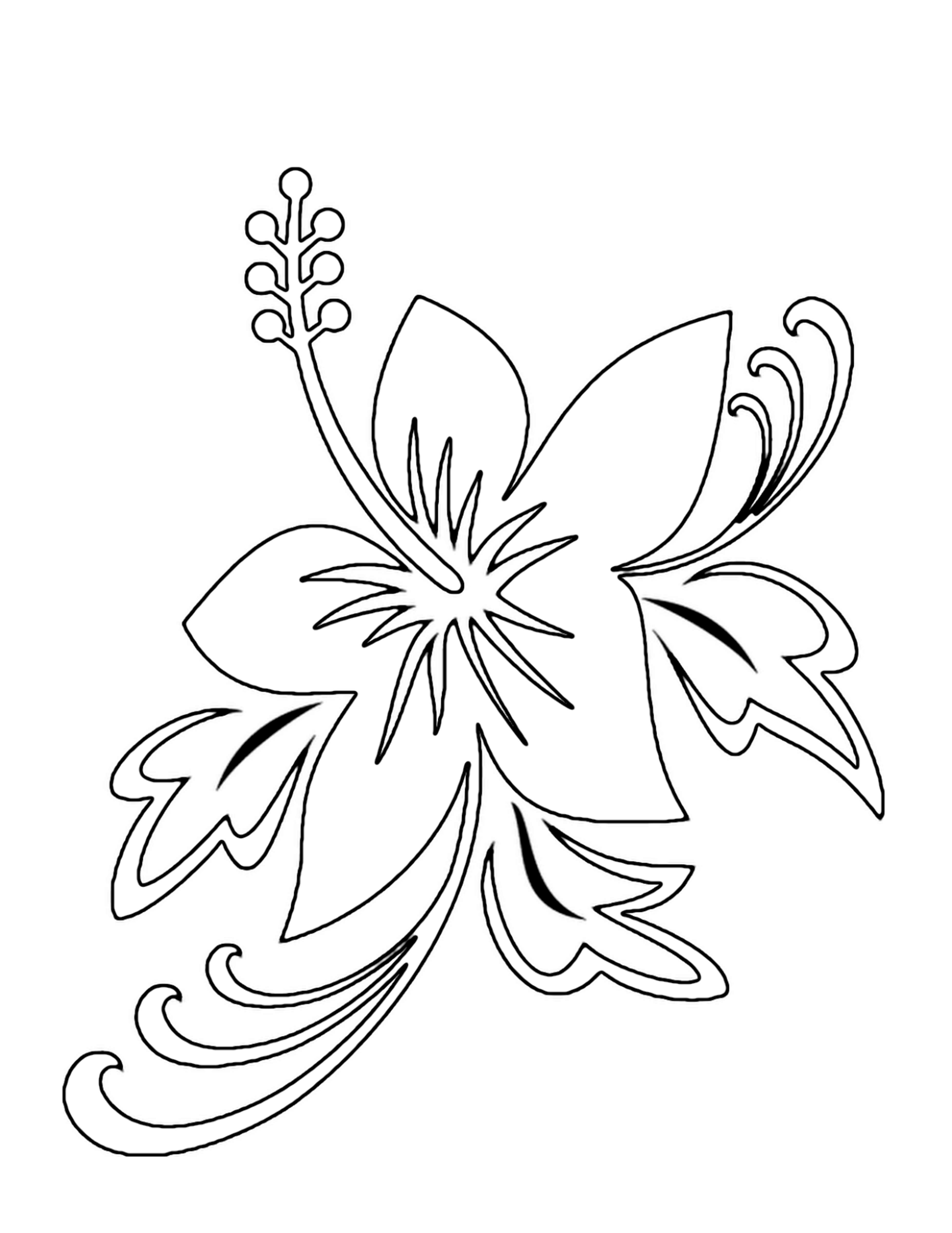 images of coloring pages of flowers - photo #16