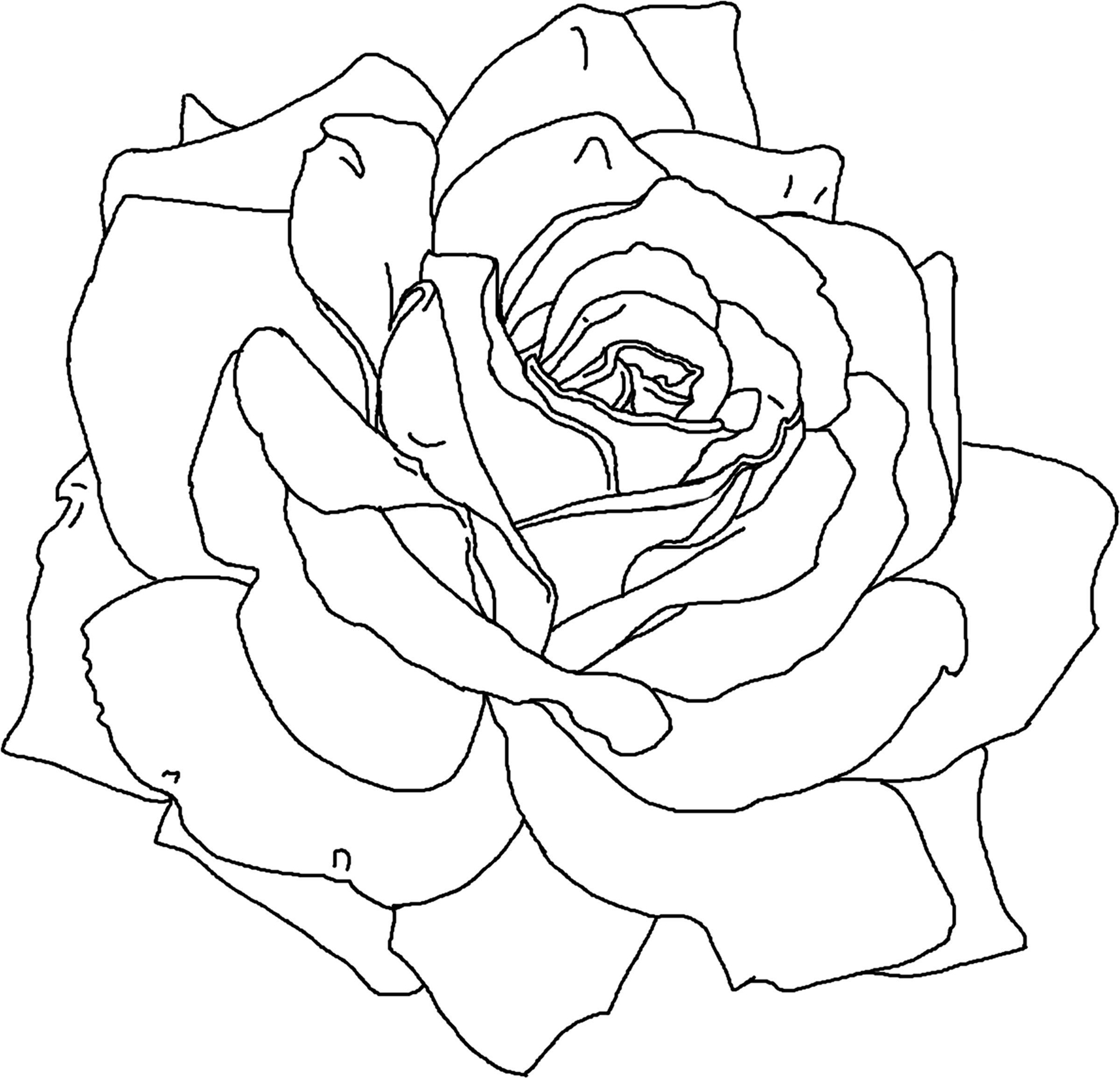 Rose Coloring Page