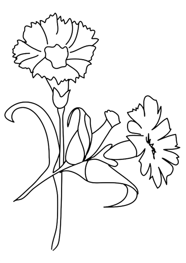 Free Printable Flower Coloring Pages For Kids - Best Coloring Pages For Kids