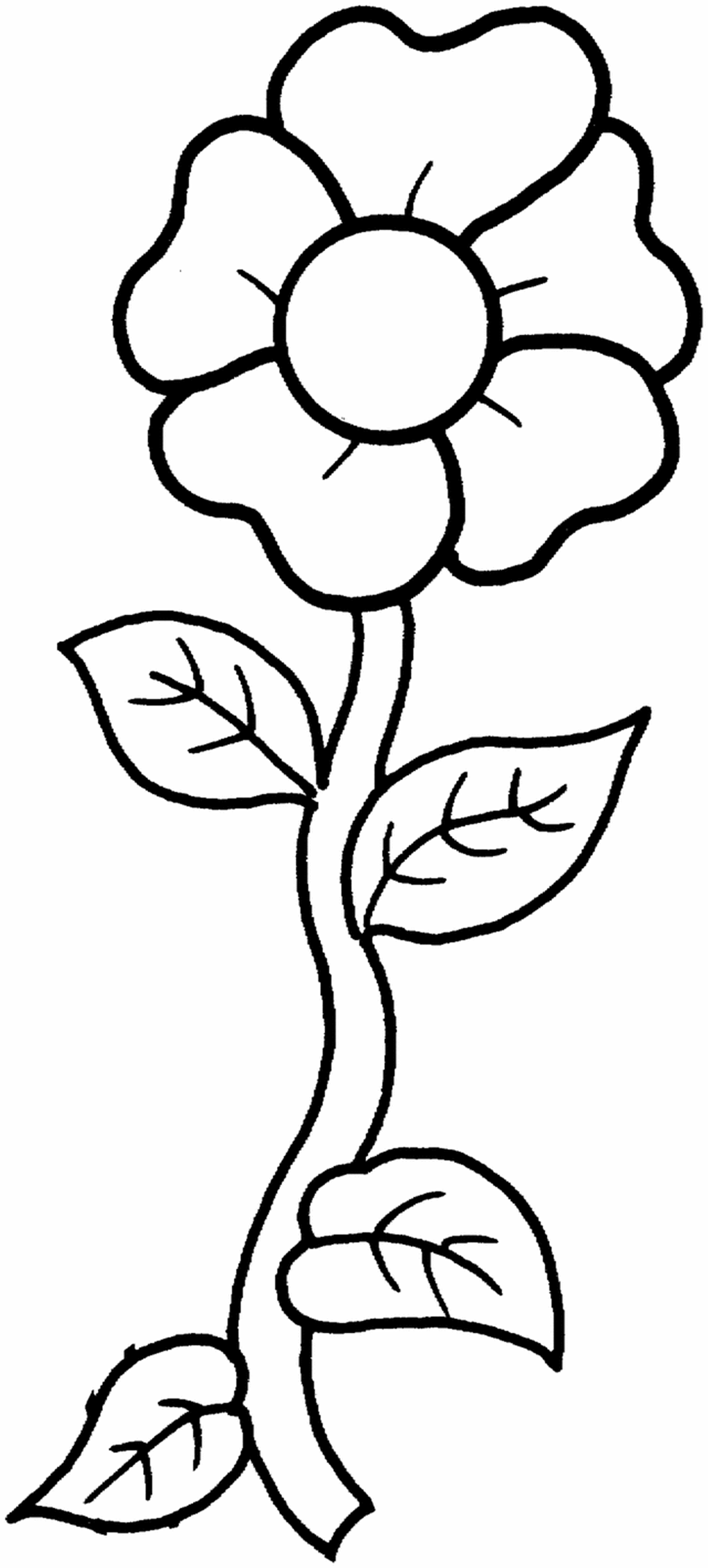 images of coloring pages of flowers - photo #19