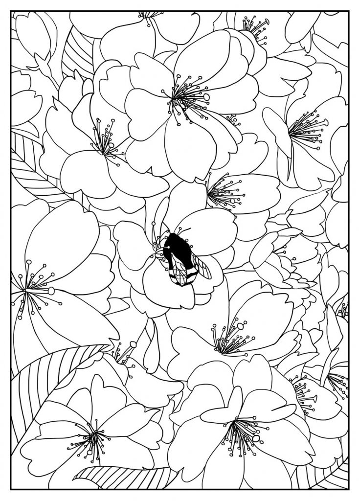 free-printable-bursting-blossoms-flower-coloring-page