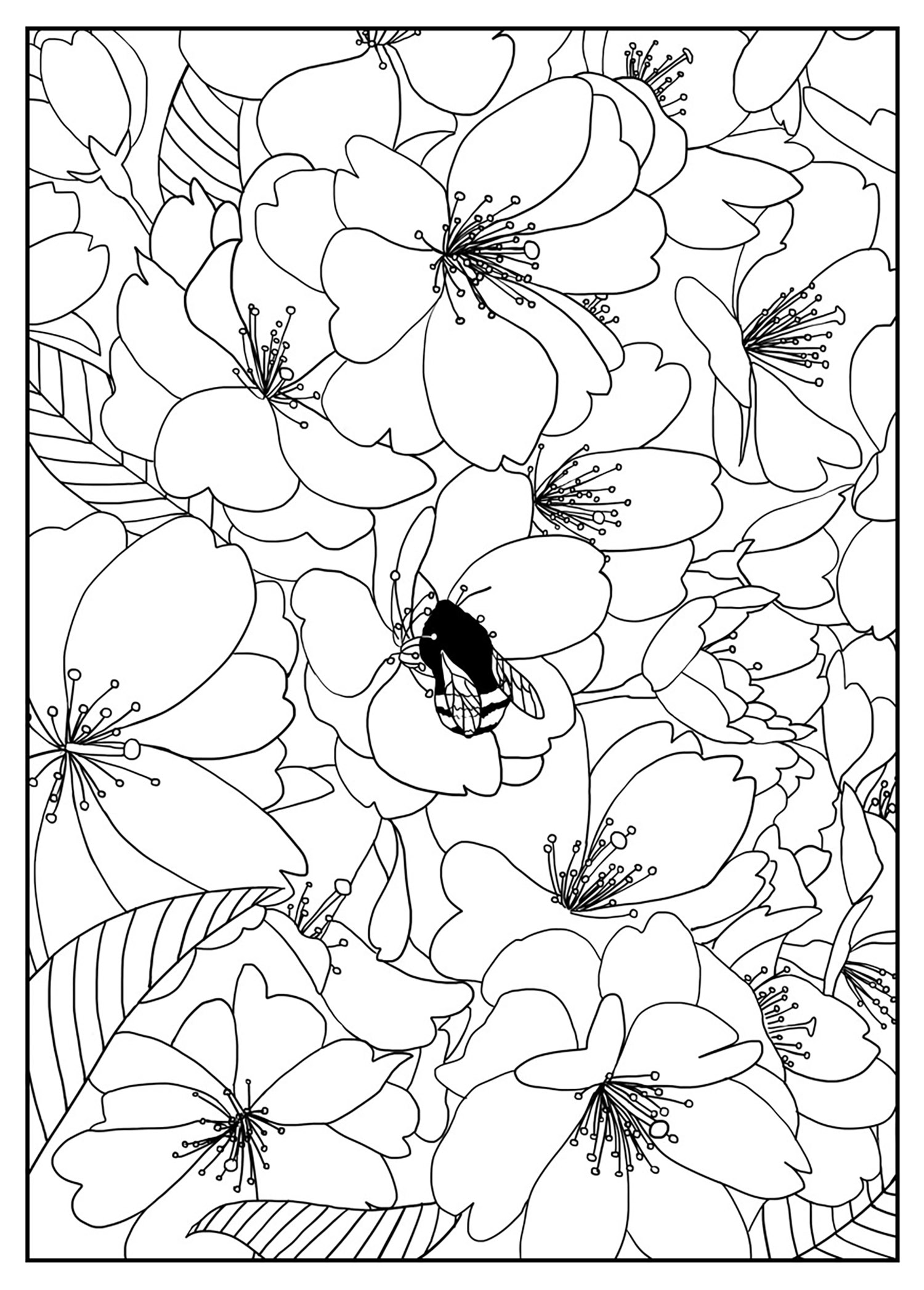 images of coloring pages of flowers - photo #46
