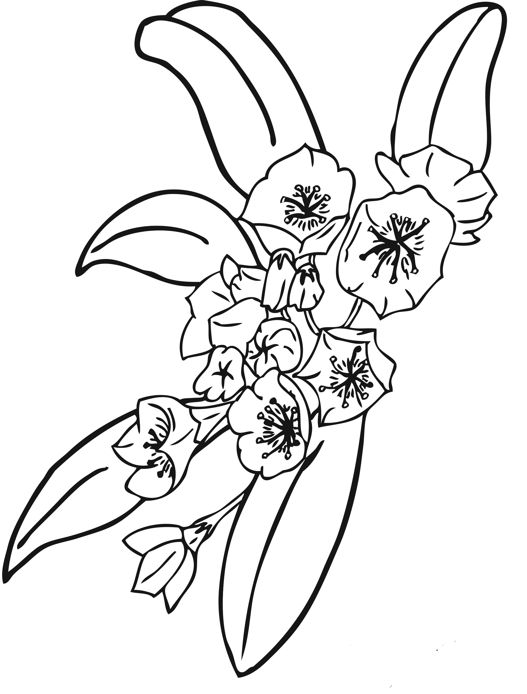 Free Printable Flower Coloring Pages For Kids Best