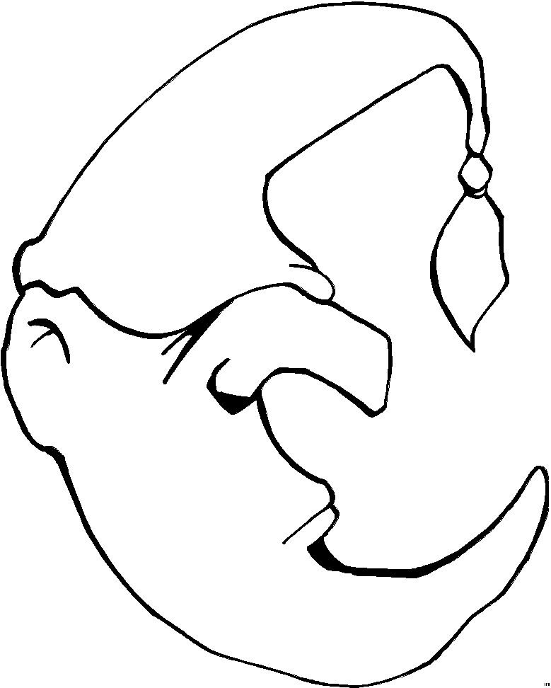 moon coloring pages for children - photo #22